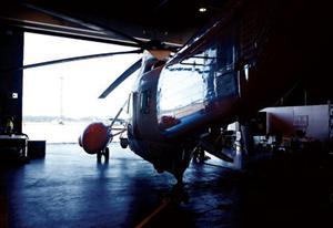 seaking-1