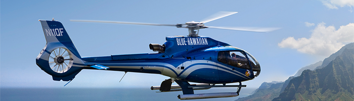 H130 Capabilities and Services