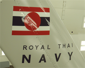 Paint Example_Royal Thai Navy